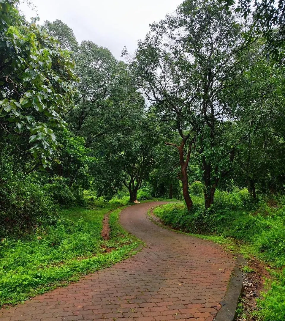 Brahmagiri Homestay Serviced Villa Thirunelly
